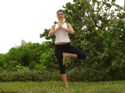 tree pose variation